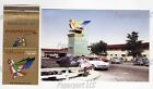 Thunderbird Hotel & Casino Matchbook Cover & 4x6 Photo Vintage Las Vegas Nevada