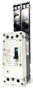 Interruptor automático GE Record Plus FBH26TE030RV 2 polos 30 amperios, nuevo con herrajes - Imagen 1 de 12