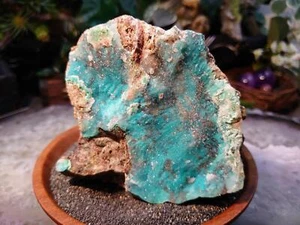 Chrysocolla with Druzy on Matrix for Home and Altar Decor / 744g / CD#123 - Picture 1 of 10