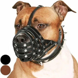 CollarDirect Pitbull Dog Muzzle Leather Amstaff Muzzles Black Strap  - Picture 1 of 6