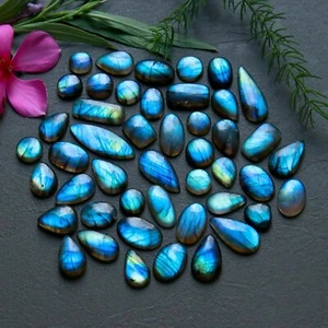 46Pc227Cts Natural Labradorite Cabochon Loose Gemstone Lot 10x26-9x12mm #R-12195 - Picture 1 of 7