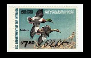 1980-81 Federal Duck Stamp, signed by Artist Richard Plasschaert - Picture 1 of 6