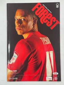2010/11 NOTTINGHAM FOREST V KRISTALL PALACE 18-12-2010 MEISTERSCHAFT - Bild 1 von 1