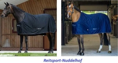 % BUCAS Shamrock Power 85cm-170cm -UVP €129,00- Reitsport NuddelHof -NH - Bild 1 von 4