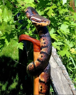 Bastón de madera tallado a mano diseño serpiente para hombres mujeres bastón gf X61 Foto 1 de 2