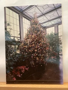 Winterthur’s Decorated Conservatory: New Castle County, DE - Vintage Postcard - Picture 1 of 3