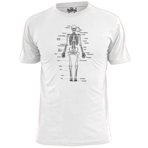 Camiseta Plano Esqueleto Anterior para Hombre Biología Cuerpo Huesos Humanos Medicina - Imagen 1 de 3