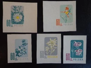 Poland Black Proof PRINTS- ESSAYS FLOWERS - Picture 1 of 1
