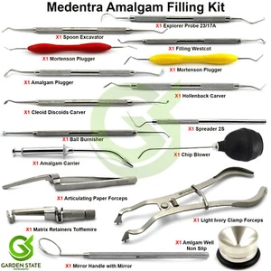 Dental Amalgam Kit Anterior Posterior Restorative Filling Scalers Plugger - Imagen 1 de 17