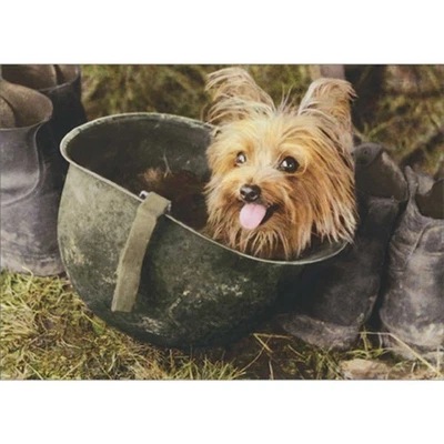 Tarjeta de nota en blanco foto de colección Smoky The War Dog sentado en casco de soldado Foto 1 de 2