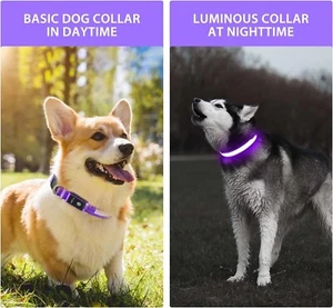 Light Up Dog Collar, Dog Collar Light for Night, Rechargeable Flashing LED Colla - Picture 1 of 7