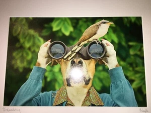 Foto de Arte ""Observación de Pájaros"" Gran Danés Perro Vestido Firmado Pringle 11 x 14 - Imagen 1 de 9