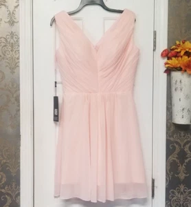 JAEDEN WOMEN'S FORMAL DRESS LIGHT PINK SLEEVELESS V-NECK NWT - READ FOR SIZE! - Picture 1 of 10
