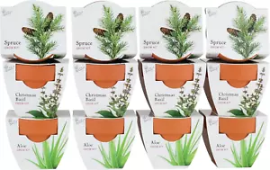 Seeds Terracotta Mini Grow Pots | Herb, Plant, Flower Starter Kit for Kids & Adu - Picture 1 of 12