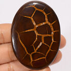 Natural Septarian Gronates Oval Cabochon Loose Gemstone 170 Ct 59X43x6mm Ee45700