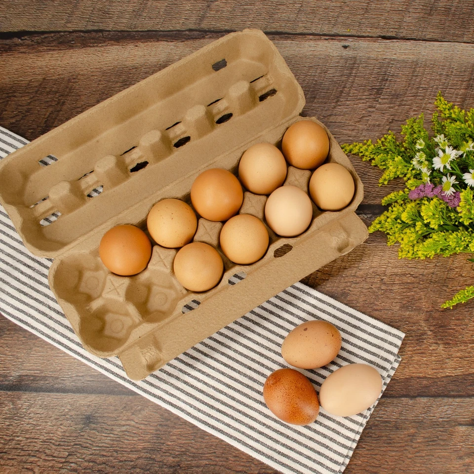 Paper Pulp Egg Carton- 25 Pack - Image 1 of 3