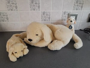Andrex puppy pyjama case & 2 other smaller Andrex puppies - clean - Picture 1 of 9