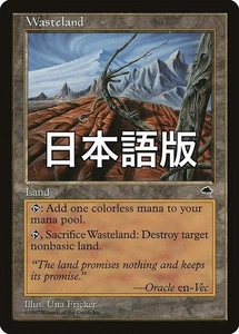 Magic The Gathering Land Wasteland Japanese Version Tempest Used - Picture 1 of 1