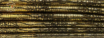 METALLIC GOLD BRASS REPTILE PRINT On Goat Leather 2 skins 9+sqf 1.0mm #B7861 - Image 1 of 4