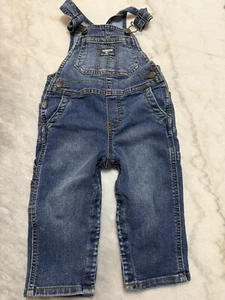 Osh Kosh B’gosh  vestbak overalls / shorts  Youth Denim  18 M  - Picture 1 of 3