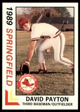 1989 Best David Payton Springfield Cardinals #15