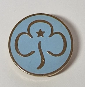 Official Girl Guides Promise Brooch Pin Badge in Pale Blue and Gold - Picture 1 of 3
