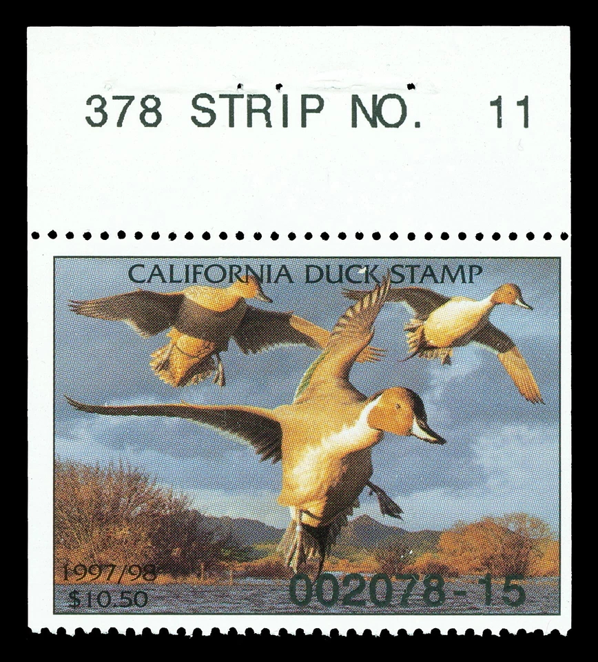 Scott CA28 1997 $10.50 California Duck Stamp Mint VF OG NH Cat $16 - Image 1 of 1