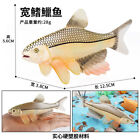 Latipinnis Fish Artificial Animal Model Marine Creature Decoration