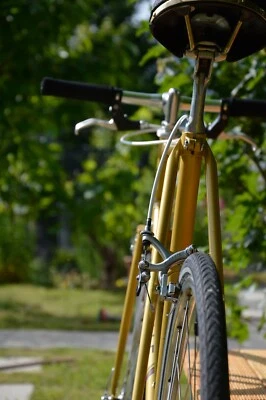 SingleSpeed ' GAZELLE Champion Mondial ' Rennrad ' Campagnolo Vollausstattung ' - Bild 1 von 4