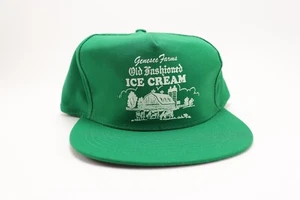 Sombrero a presión helado antiguo de los años 80 Genesee Farms, gorra de camionero Nueva York - Imagen 1 de 6