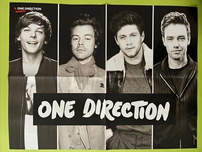 One Direction & Elite A2 Poster - Bild 1 von 2