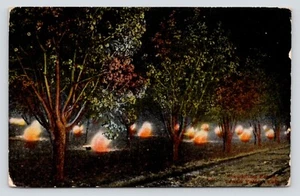 Smudge Pots Keeping Trees Warm Grand Junction Colorado c1913 VTG DB Postcard - Bild 1 von 3