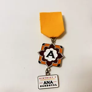 ⭐️ Prendedor Medalla Fiesta San Antonio 2019 Raro Concejal Elecciones - Imagen 1 de 4