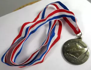 Carnival Cruise Lines ship Fun For All All For Fun promo medal with lanyard - Picture 1 of 4