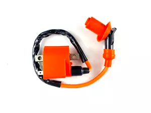 New Ignition Coil Built-in CDI For Suzuki ALT-50 Trail Buddy1983-984-1985 - Foto 1 di 3