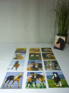 13 Pferdebilder 🍀 Montessori Materialherstellung - Wortschatz Pferde (9) - Bild 1 von 5