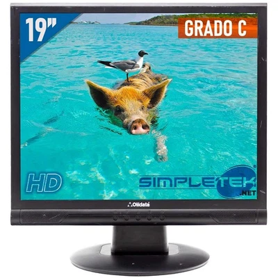 Olidata Bildschirm LCD Display 19 " HD 4:3 5:4 DVR Gehäuse PC VGA Starr - Bild 1 von 4