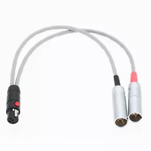 Mini-XLR 5-pin TA5F to Dual small-XLR TA3M 3-pin 8” L2B2AT Insert/Splitter cable - Picture 1 of 5