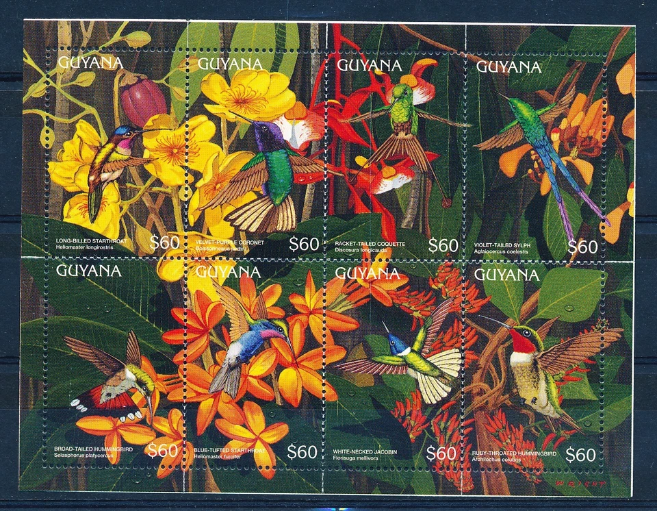 LS62235 Guyana animals fauna flora birds good sheet MNH - Image 1 of 1