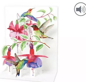 Tarjeta de felicitación Sight 'n Sound - Colibríes SS083 - Elige tu mensaje - Imagen 1 de 3