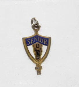VINTAGE DANVILLE HIGH SCHOOL COBALT BLUE & GOLD 1975 SENIOR PIN PENDANT CHARM - Bild 1 von 4