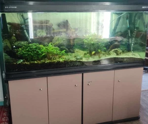 large aquarium fish tank used - Picture 1 of 10