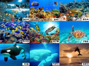 Fotomural TEJIDO BAJO EL AGUA Papel pintado a medida pared peces vida marina XXL - Imagen 1 de 15