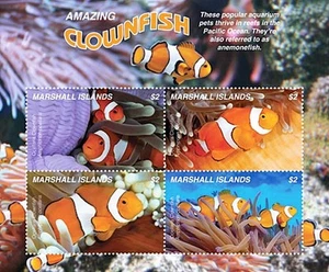 MARSHALLS 2019 PEZ PAYASO M/S mnh neuf vida marina corales 💲envío gratuito💲 - Imagen 1 de 1