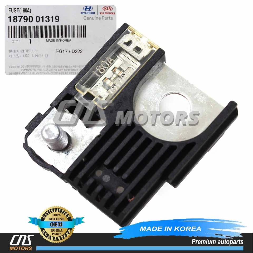 ⭐GENUINE⭐ AMP Fuse for 13-19 Santa Fe Tucson Cadenza Optima Sorento 1879001319 Foto 1 de 4