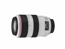 Canon EF 70-300mm f/4-5.6 USM Lens