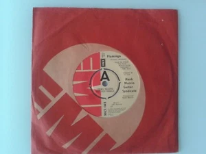 Hank Marvin (Shadows) - Demo - Flamingo / Syndicated (1977) - Picture 1 of 1