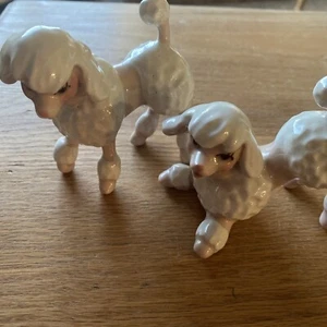 Par de caniches antiguos de porcelana blanca - Imagen 1 de 5