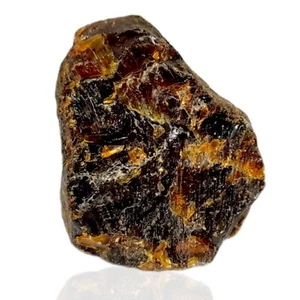¡INCREÍBLE! 42 GR RACIMO ÁMBAR NATURAL ESPÉCIMEN ÁSPERO DE WEST SUMATERA - Imagen 1 de 6