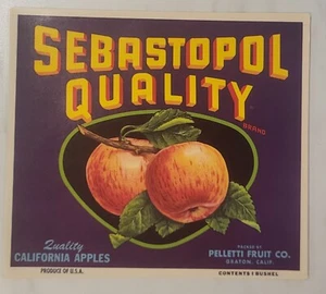 LABEL Sebastopol Apples Pelletti Fruit Gratton California - Picture 1 of 1